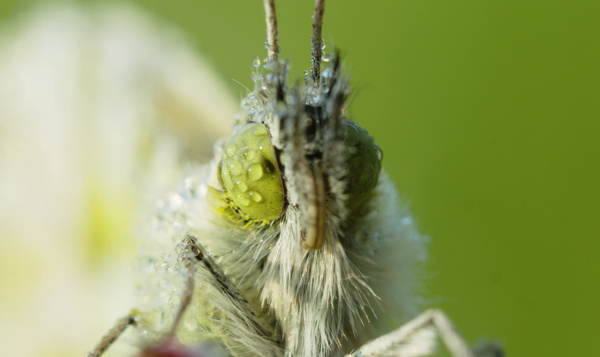 Geduld is een schone zaak