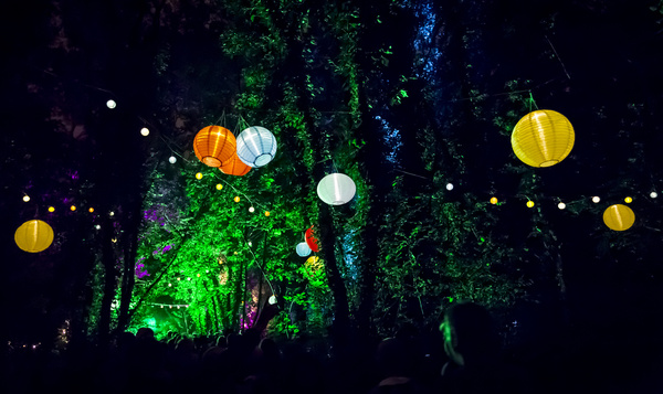Festivals voor natuurliefhebbers
