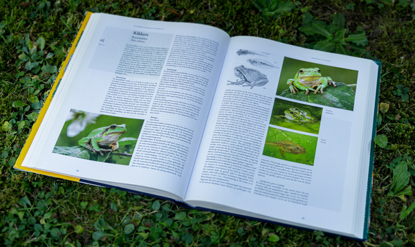 Dit zijn de favoriete natuurboeken van de Onze Natuur-redactie
