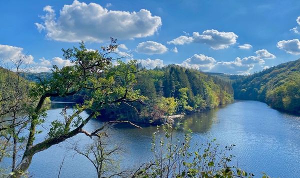 Uitgetest: Hoogtemeters vreten aan het ‘Lac des deux Ourthes’