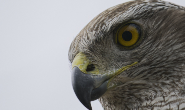 Spektakel, unieke beelden en herkenbaarheid: dit zijn jullie favoriete scènes