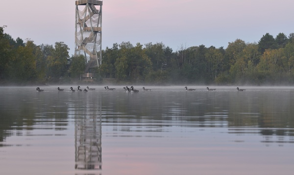 Uitgetest: winterse wandeling in de Sahara van Lommel
