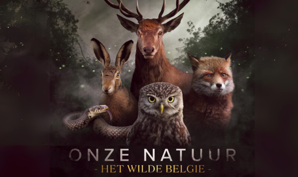 "Onze Natuur, Het Wilde België" is nu te zien in Nederlandse bioscopen.