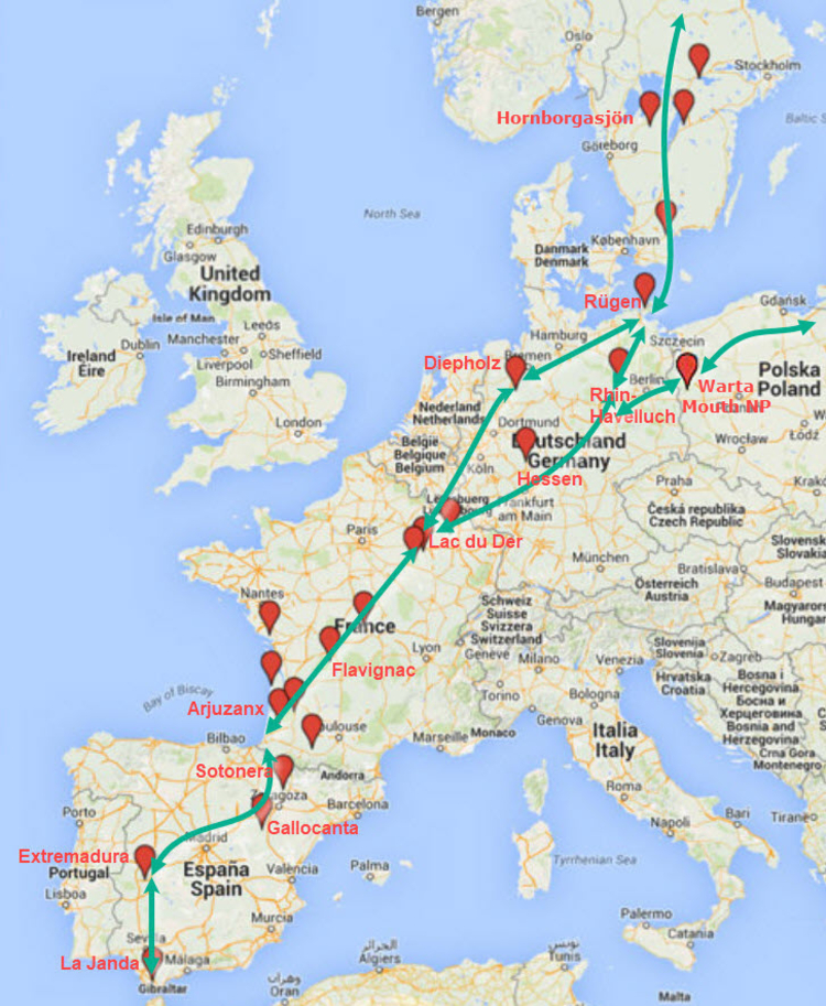 migratieroute-en-stopplaatsen-kraanvogels-zelf-2.jpeg