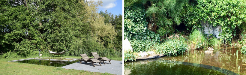 Links een strakke vijver in natuurlijke omgeving, rechts een folievijver in een wilde stadstuin