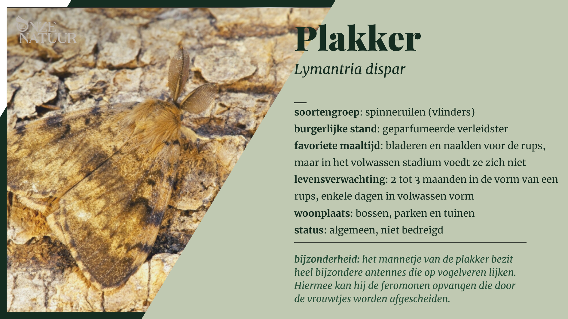 plakker-nl.png
